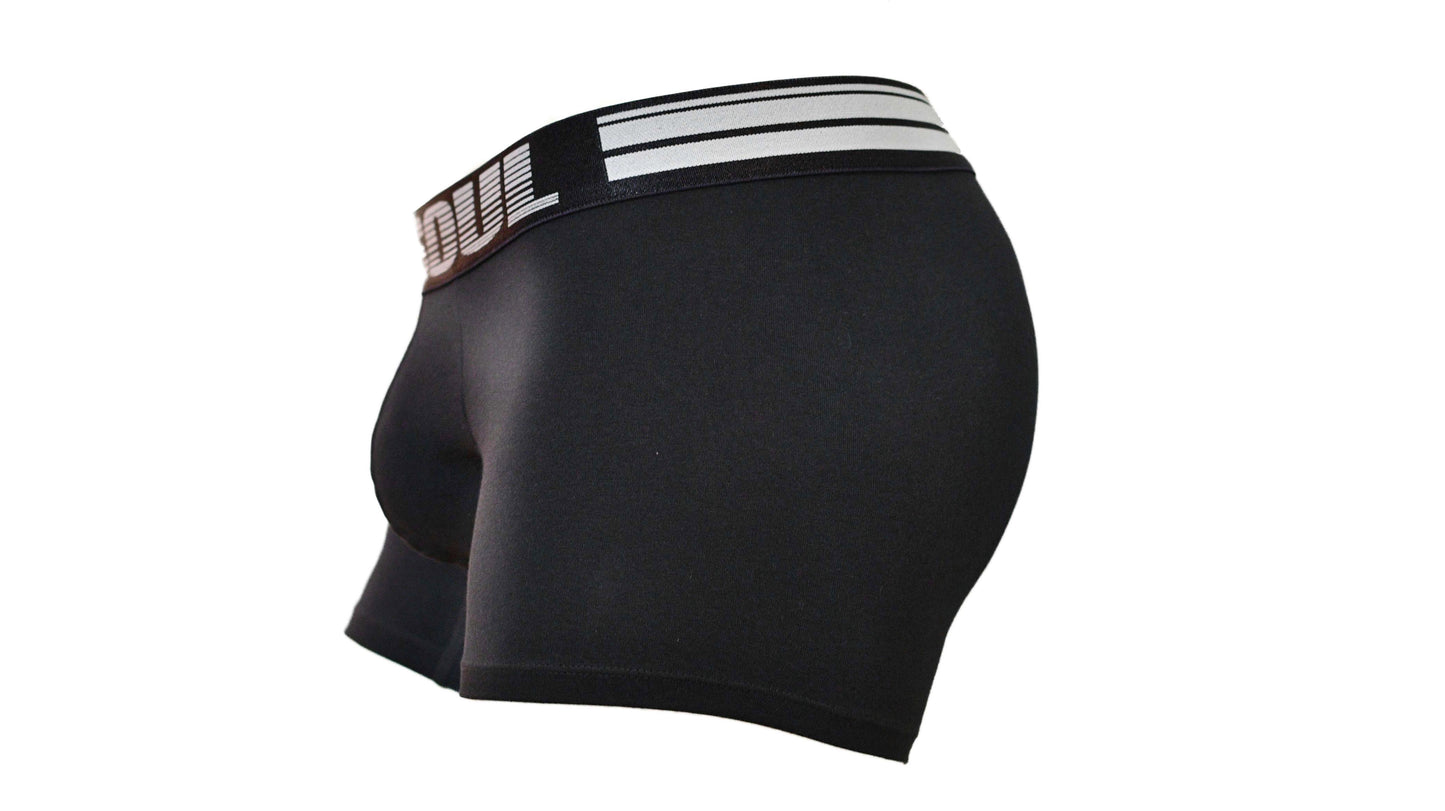 EBONY STEELE BOXER BRIEF